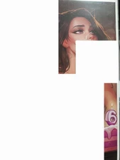 TRC 6 Year Comic Cover Foxy With 2 Friends Alice Rauch