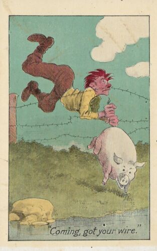 Man and a Pig ""Coming, got your wire"" postal cómica C10 - Imagen 1 de 3