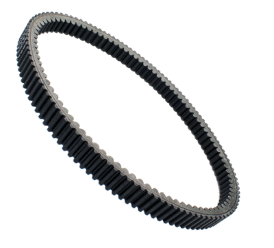 掛軸 321 数量限定】Z/X -Zillions of enemy X- 掛軸「あづみ＆リゲル」：【公式