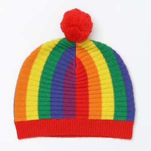 burberry rainbow hat