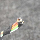 Foto 5 di 6