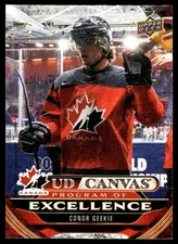 2024-25 UD CANVAS EXCELLENCE CONOR GEEKIE #C262