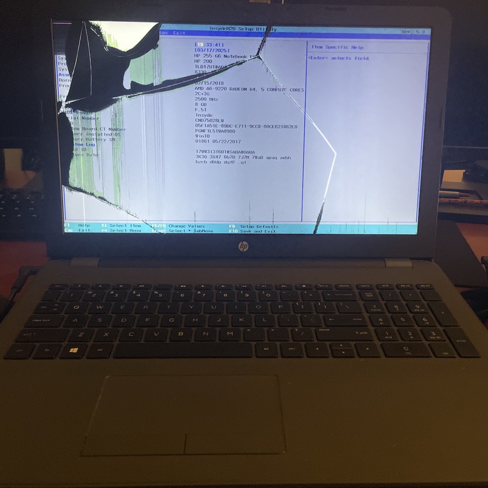 HP 255 G6 Laptop, AMD A6-9220 Radeon R4, 2.50GHz, 8GB RAM, 256GB SSD ...