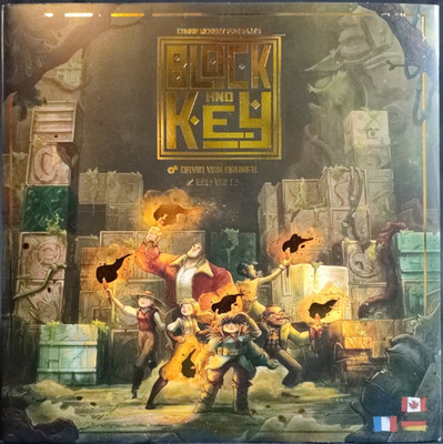 Block and Key von Inside up Games ab 14 Jahren vollständig