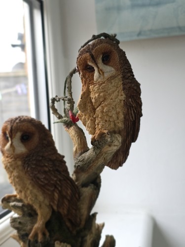 Country artists ca694 summer dreams pair owls - Picture 8 of 10