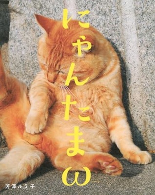 Nyantama Cat Hoden Photo Book Vol.2 Nyan-tama-ω from Japan New Japanese