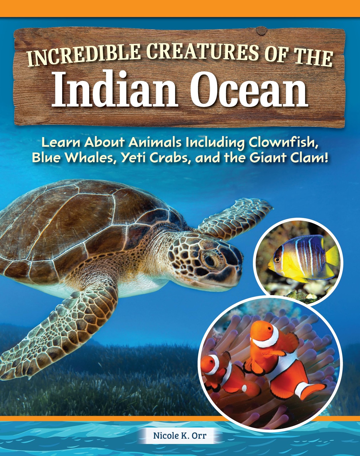 Incredible Creatures of the Indian Ocean: Learn About Animals Including Clownfis