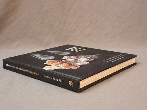 Images Philippine Seashells Land Snails Antonio Sambrano Racela Jr Book HC DJ - Picture 4 of 7