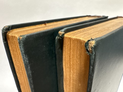 2 Volume Set - History of Ancient Egypt by George Rawlinson 1880 Hardcovers - Imagen 9 de 20