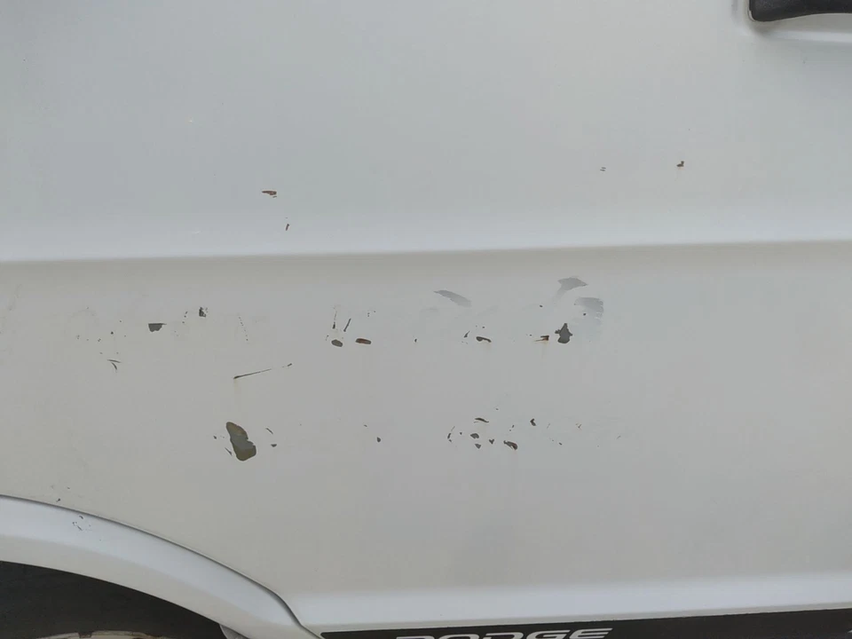 00 DODGE VAN 3500 SERIE Front Door Peeling And Surface RustDRIVER Foto 2 de 3