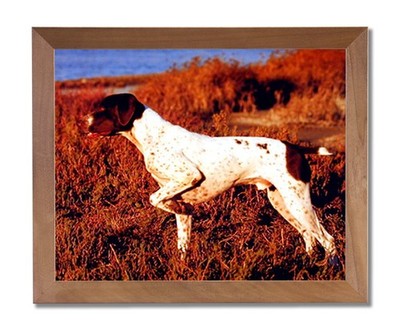 English Pointer Puppy Dog Kids Room Animal Wall Picture Honey Framed Art Print