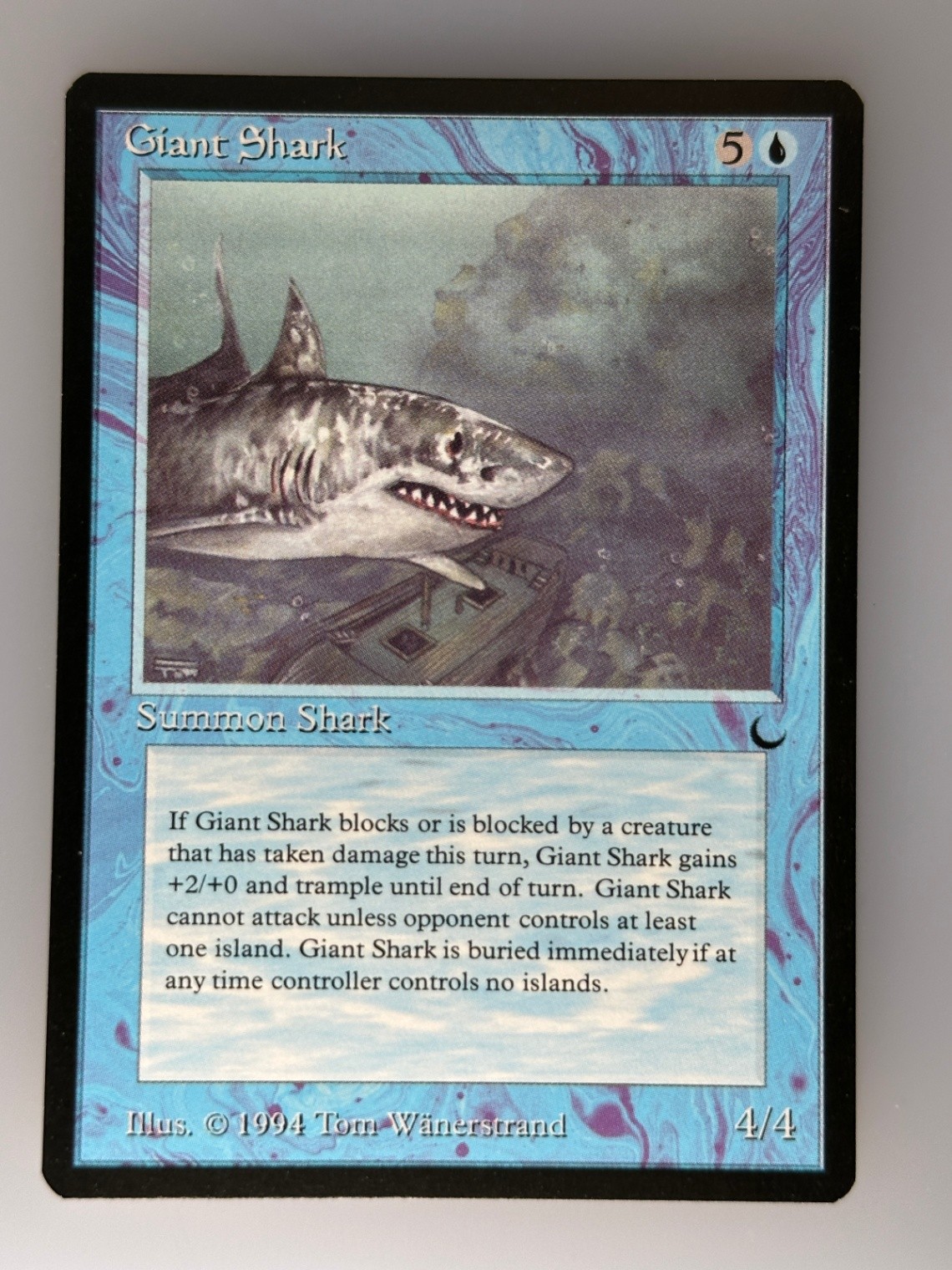MTG Giant Shark The Dark (DRK) C NM Magic
