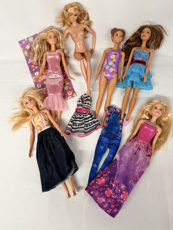 Articulated Barbie and Other Fashionista Barbies