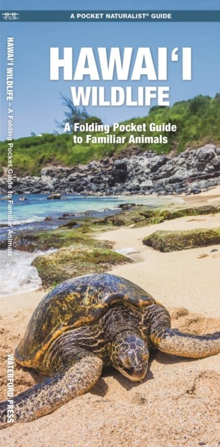 Hawai'i Wildlife, 2nd Ed by J M Kavanagh (Pamphlet)