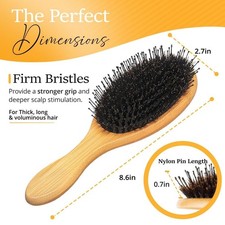 Belula Boar Bristle Hair Brush - Hair Brushes for Women  Mens Hair Brush
