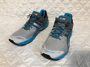 asics gel ds trainer 17