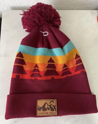 LOCALE Jackson Hole Wyoming Woods Beanie Pom Pom SKI Winter HAT/CAP