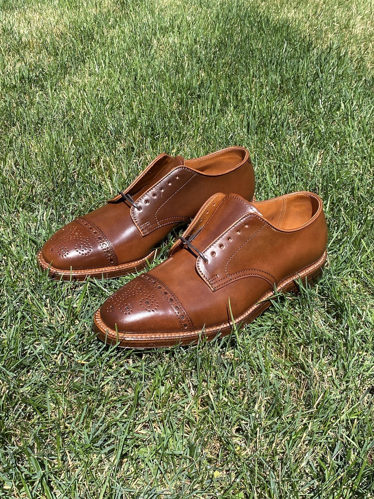 Alden D0517 Color 4 Shell Cordovan Medallion Tip Blucher Alden D0517 Color 4 Shell Cordovan Medallion Tip Blucher