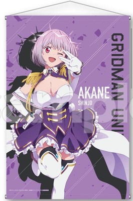 Gridman Universe DMM Scratch Lottery Akane Shinjo B2 Tapestry