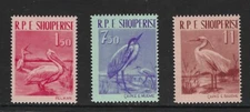 Albania - 1961 MNH Dalmation Pelicans ..................13S....  P 818