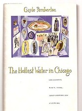 THE HOTTEST WATER IN CHICAGO: ESSAYS ON FAMILY, RACE, TIME By Gayle Pemberton VG