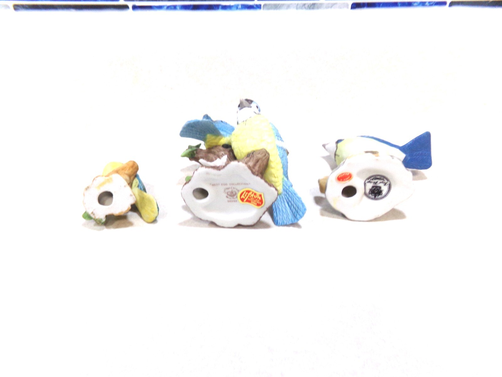 Foto 5 di 5