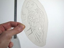 vtg 1960s 1970s Tattoo acetate stencil Parrot on Branch closeup signed BR4