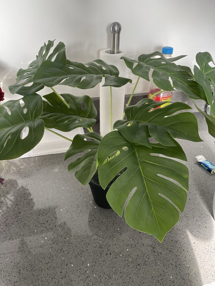 3 x artificial plants From Marks and Spencer and Dunelm eBay