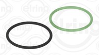 Dichtungssatz Einspritzpumpe Elring 105.080 FüR Mercedes Vario B670 B668 B667