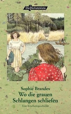Wo die grauen Schlangen schliefen: Eine Kindheitsgeschichte by Sophie Brandes (G