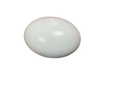 10pcs Hibachi White Fake Eggs For Tricks