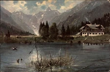 Artist Muller ducks lake mountains Austria art postcard sent 1908 Lowell OH d252