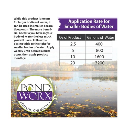 Large Pond/Lake Safe Water Treatment Reduces Muck/Dead Leaves/Odors 4-5 ft 1 Gal - Picture 3 of 4