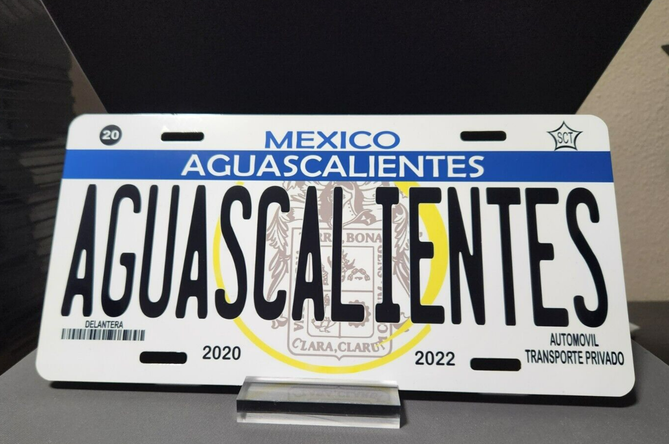 PLACA CARRO DE AGUASCALIENTES /CAR PLATE ESTADOS MEXICO /AGUASCALIENTES