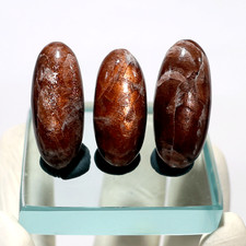 Fire Within ~ 3 piezas Raro Tanzania Haze Piedra Solar Coleccionista Shiva Lingam Cristales