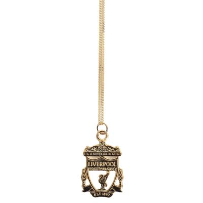 LIVERPOOL FC 18ct GOLD PLATED ON SILVER LIVERBIRD PENDANT & CHAIN NECKLACE LFC e