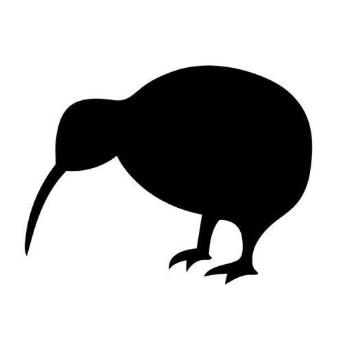 p598 Kiwi Animal Pegatina Adhesivo Sticker Vinilo Logo Coche Pared Cristal  | eBay