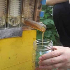 7Pcs Auto Seep Beehive Frames Plastic Honey Bee Hive Frames