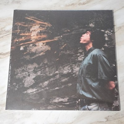 Dominic Fike Rocket LP レコード s-l400.jpg