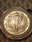 1987 Walking Liberty American Eagle 1 Oz. Silver One Dollar