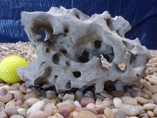 03 Texas/TN Holey Rock 05"x07"x03" Aquarium Reptile Honeycomb Limestone