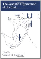 The Synaptic Organization of the Brain by
