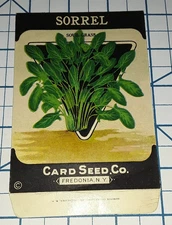 1920s SORREL Dock Herb Vegetable Seed Packet - NOS Fredonia Ny Vintage Brand Co