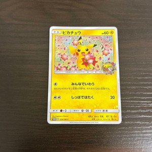 Pikachu 224 Sm P | eBay