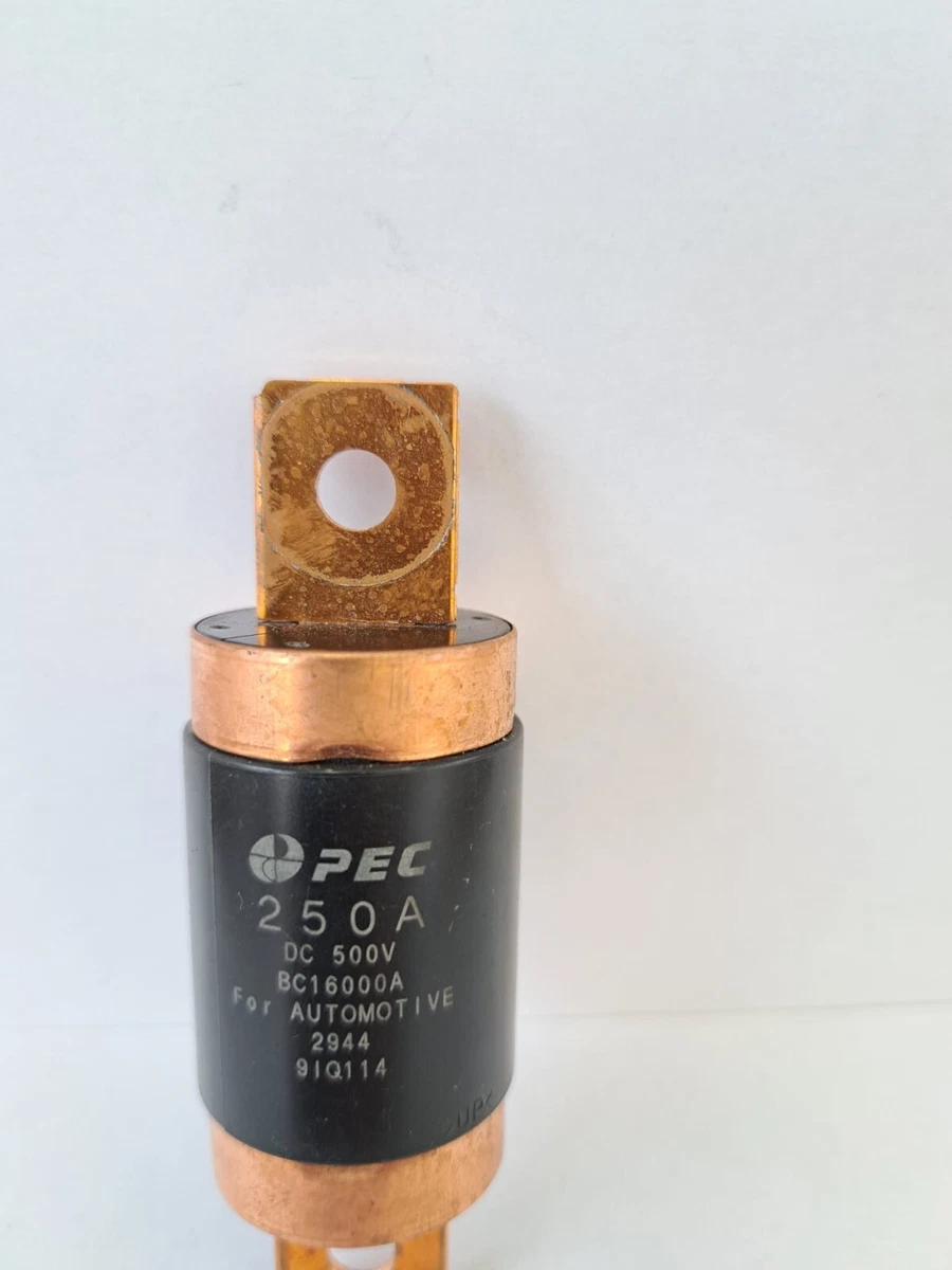 Fusibili Miniatura Radiali 500 MA &ndash; 6,3 A 250V &ndash; Lotti Per Elettronica E Strumenti