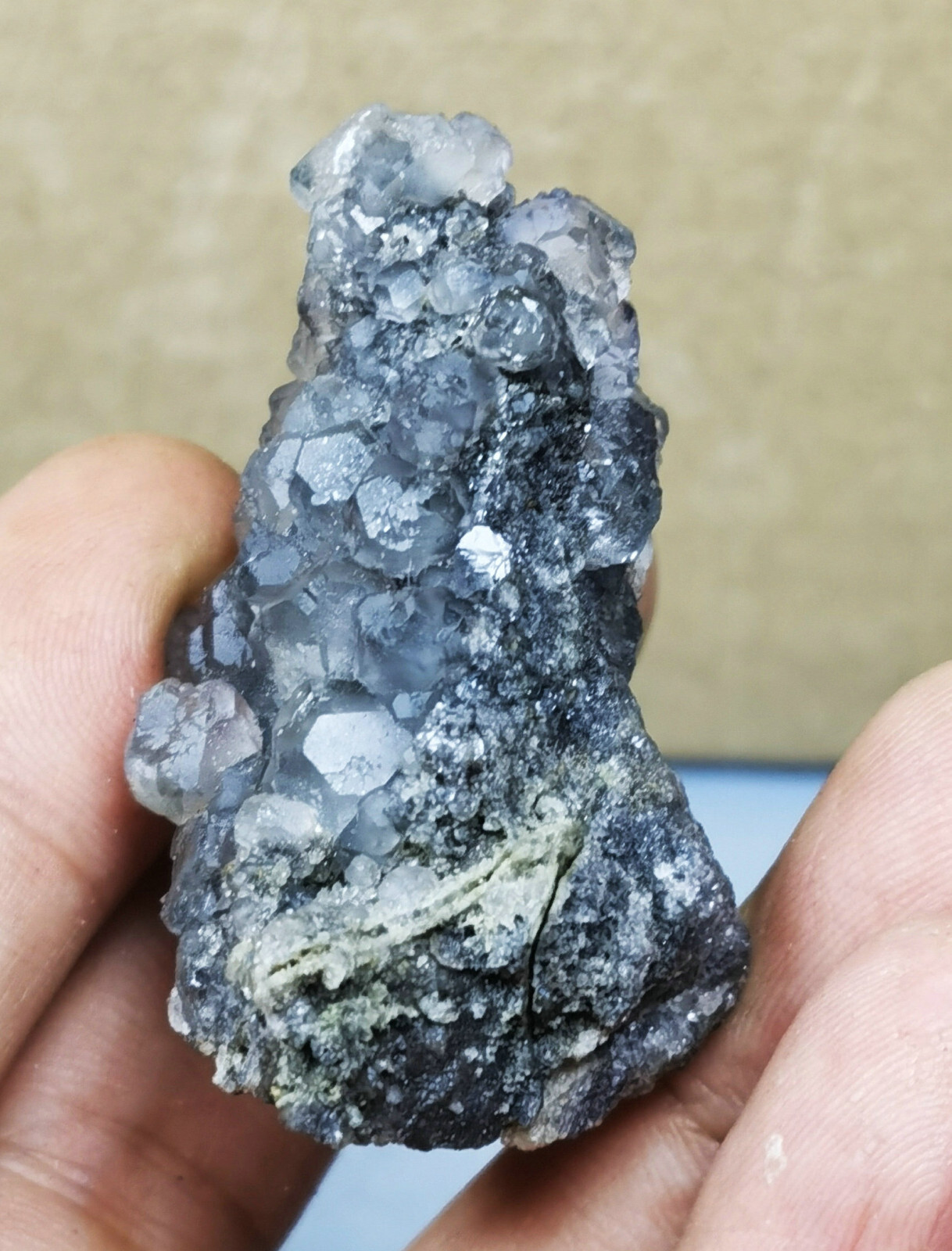 Picture 5 of 11