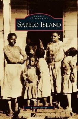 Buddy Sullivan Sapelo Island (Hardback) (UK IMPORT)