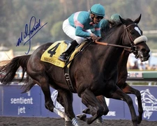 Zenyatta 2009 BC  Classic 16" x 20"  photo Signed Mike Smith