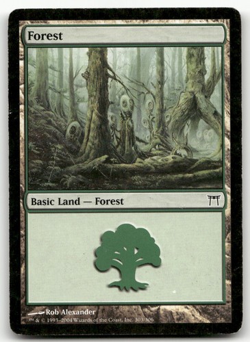 Forest (303) - Champions of Kamigawa