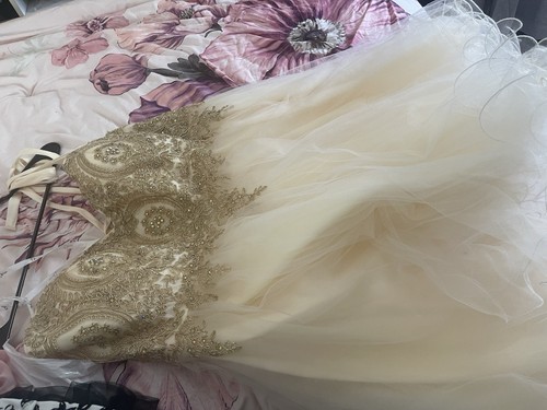 Ivory/Gold Tulle Ball Gown Wedding Dress Beaded Embroidered Corset Back